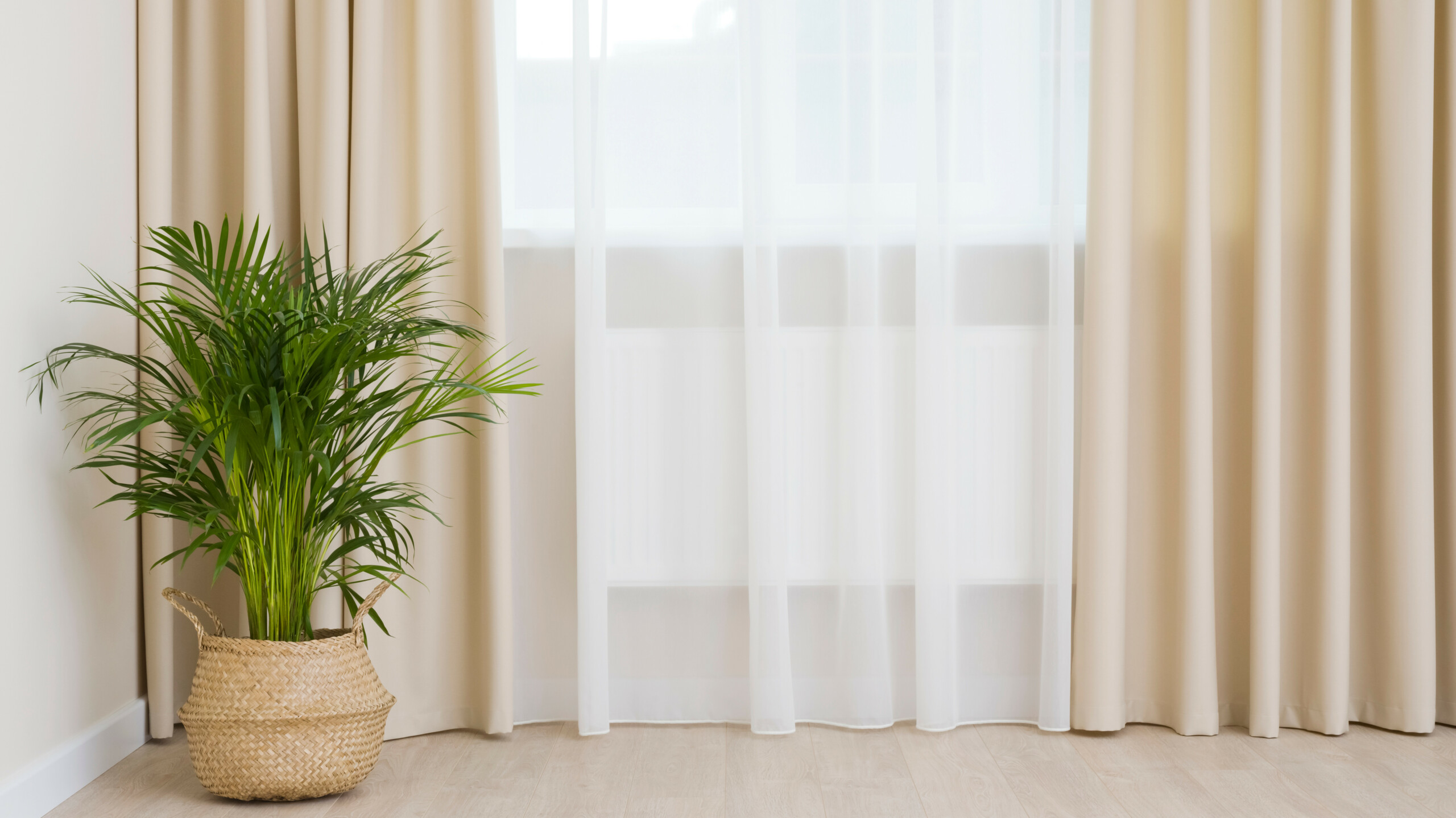 Gardinen und Vorhänge mit Blumentopf